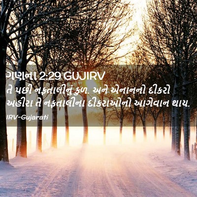 Picture 02 - ગણના 2:29 GUJIRV - તે પછી નફતાલીનું - Bible Verse Picture