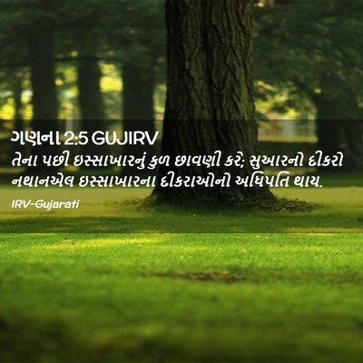 Picture 02 - ગણના 2:5 GUJIRV - તેના પછી - Bible Verse Picture