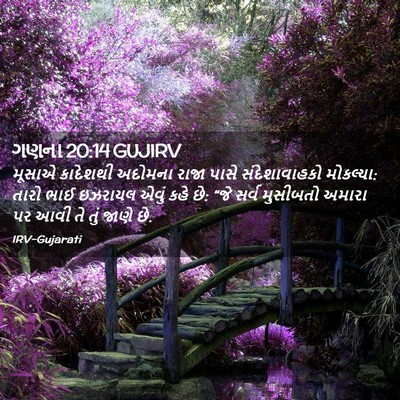 Picture 02 - ગણના 20:14 GUJIRV - મૂસાએ કાદેશથી - Bible Verse Picture