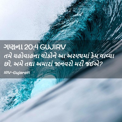 Picture 02 - ગણના 20:4 GUJIRV - તમે યહોવાહના - Bible Verse Picture