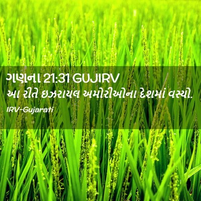 Picture 02 - ગણના 21:31 GUJIRV - આ રીતે ઇઝરાયલ - Bible Verse Picture