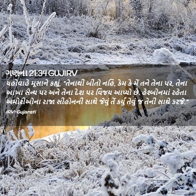 Picture 02 - ગણના 21:34 GUJIRV - યહોવાહે મૂસાને - Bible Verse Picture