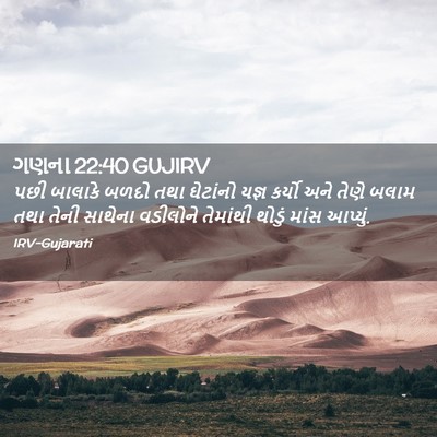 Picture 02 - ગણના 22:40 GUJIRV - પછી બાલાકે બળદો - Bible Verse Picture