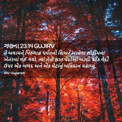 Picture 02 - ગણના 23:14 GUJIRV - તે બલામને પિસ્ગાહ - Bible Verse Picture