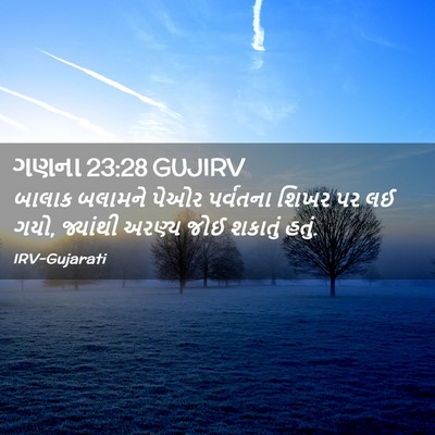 Picture 02 - ગણના 23:28 GUJIRV - બાલાક બલામને પેઓર - Bible Verse Picture