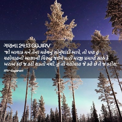Picture 02 - ગણના 24:13 GUJIRV - ‘જો બાલાક મને તેના - Bible Verse Picture