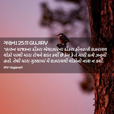 Picture 02 - ગણના 25:11 GUJIRV - “હારુન યાજકના - Bible Verse Picture