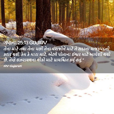 Picture 02 - ગણના 25:13 GUJIRV - તેના માટે તથા તેના - Bible Verse Picture