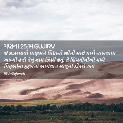 Picture 02 - ગણના 25:14 GUJIRV - જે ઇઝરાયલી માણસને - Bible Verse Picture