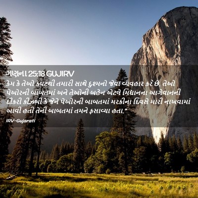 Picture 02 - ગણના 25:18 GUJIRV - કેમ કે તેઓ કપટથી - Bible Verse Picture