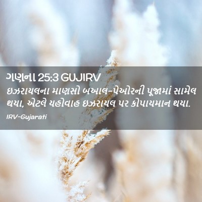 Picture 02 - ગણના 25:3 GUJIRV - ઇઝરાયલના માણસો - Bible Verse Picture