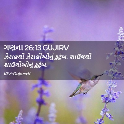 Picture 02 - ગણના 26:13 GUJIRV - ઝેરાહથી - Bible Verse Picture