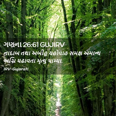 Picture 02 - ગણના 26:61 GUJIRV - નાદાબ તથા અબીહૂ - Bible Verse Picture