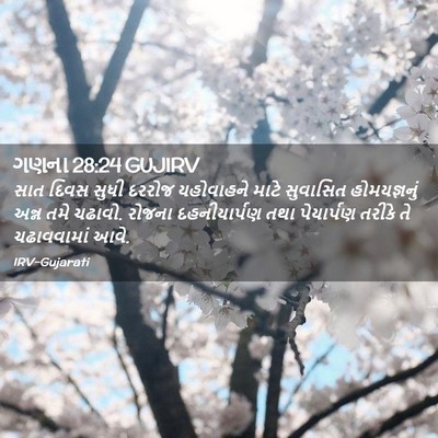 Picture 02 - ગણના 28:24 GUJIRV - સાત દિવસ સુધી - Bible Verse Picture