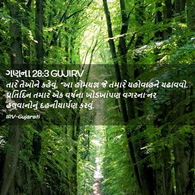 Picture 02 - ગણના 28:3 GUJIRV - તારે તેઓને કહેવું, - Bible Verse Picture