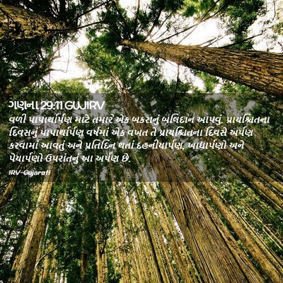 Picture 02 - ગણના 29:11 GUJIRV - વળી પાપાર્થાર્પણ - Bible Verse Picture