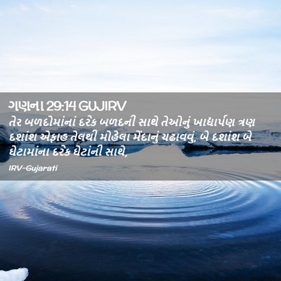Picture 02 - ગણના 29:14 GUJIRV - તેર બળદોમાંનાં - Bible Verse Picture