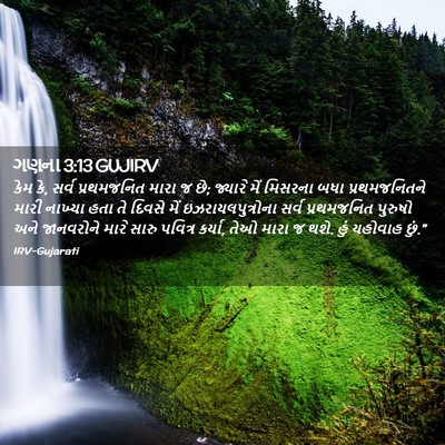 Picture 02 - ગણના 3:13 GUJIRV - કેમ કે, સર્વ - Bible Verse Picture