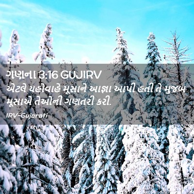 Picture 02 - ગણના 3:16 GUJIRV - એટલે યહોવાહે - Bible Verse Picture