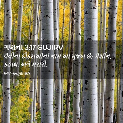 Picture 02 - ગણના 3:17 GUJIRV - લેવીના દીકરાઓનાં - Bible Verse Picture