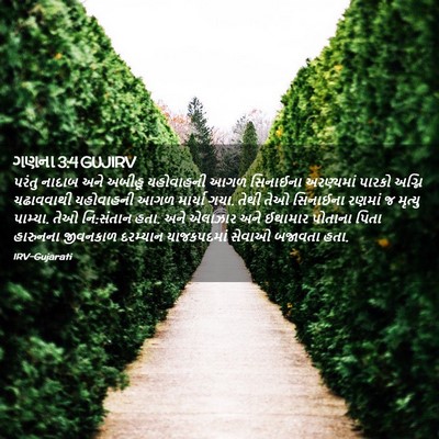 Picture 02 - ગણના 3:4 GUJIRV - પરંતુ નાદાબ અને - Bible Verse Picture