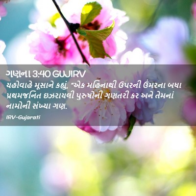 Picture 02 - ગણના 3:40 GUJIRV - યહોવાહે મૂસાને - Bible Verse Picture