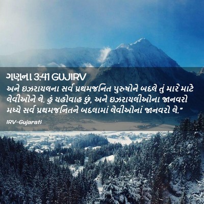 Picture 02 - ગણના 3:41 GUJIRV - અને ઇઝરાયલના સર્વ - Bible Verse Picture