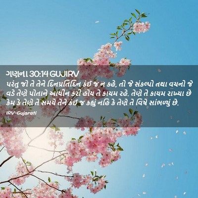 Picture 02 - ગણના 30:14 GUJIRV - પરંતુ જો તે તેને - Bible Verse Picture