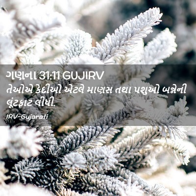 Picture 02 - ગણના 31:11 GUJIRV - તેઓએ કેદીઓ એટલે - Bible Verse Picture