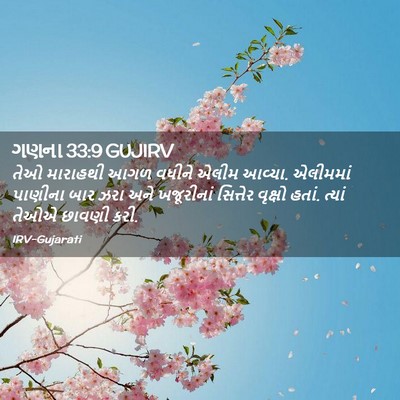 Picture 02 - ગણના 33:9 GUJIRV - તેઓ મારાહથી આગળ - Bible Verse Picture