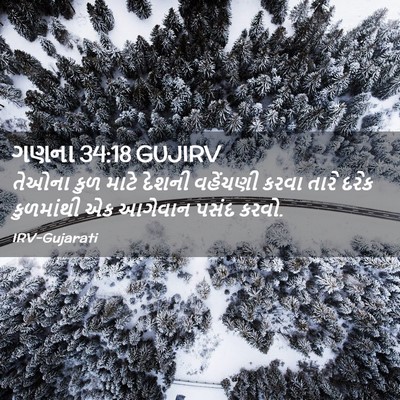 Picture 02 - ગણના 34:18 GUJIRV - તેઓના કુળ માટે - Bible Verse Picture