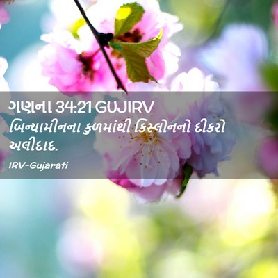 Picture 02 - ગણના 34:21 GUJIRV - બિન્યામીનના - Bible Verse Picture