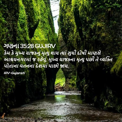 Picture 02 - ગણના 35:28 GUJIRV - કેમ કે મુખ્ય - Bible Verse Picture