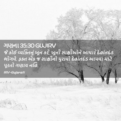 Picture 02 - ગણના 35:30 GUJIRV - જે કોઈ વ્યક્તિનું - Bible Verse Picture