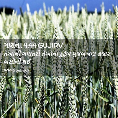 Picture 02 - ગણના 4:44 GUJIRV - તેઓની ગણતરી તેઓના - Bible Verse Picture