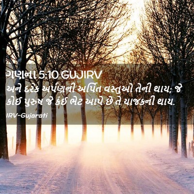 Picture 02 - ગણના 5:10 GUJIRV - અને દરેક અર્પણની - Bible Verse Picture