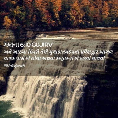 Picture 02 - ગણના 6:10 GUJIRV - અને આઠમા દિવસે - Bible Verse Picture