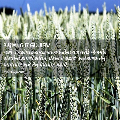 Picture 02 - ગણના 6:17 GUJIRV - પછી તે યહોવાહ - Bible Verse Picture