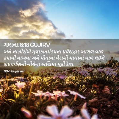 Picture 02 - ગણના 6:18 GUJIRV - અને નાઝીરીએ - Bible Verse Picture