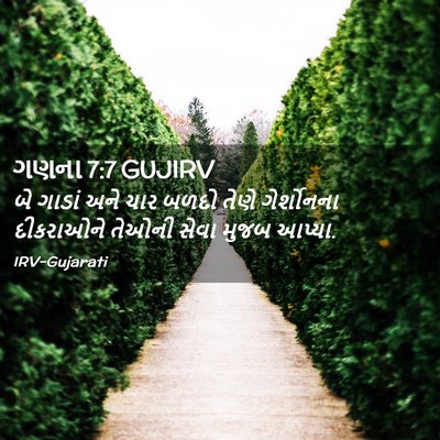 Picture 02 - ગણના 7:7 GUJIRV - બે ગાડાં અને ચાર - Bible Verse Picture
