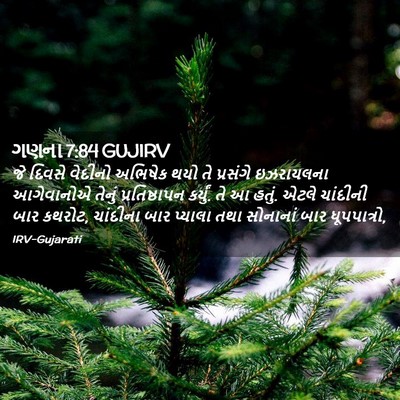 Picture 02 - ગણના 7:84 GUJIRV - જે દિવસે વેદીનો - Bible Verse Picture