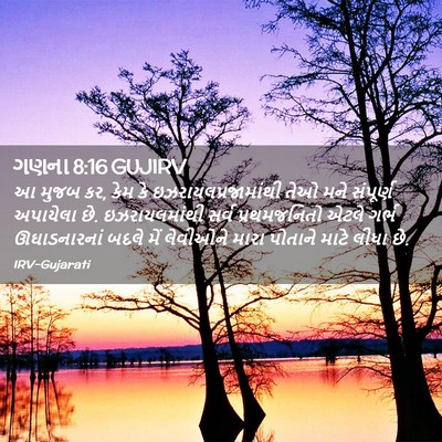 Picture 02 - ગણના 8:16 GUJIRV - આ મુજબ કર, કેમ કે - Bible Verse Picture