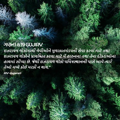Picture 02 - ગણના 8:19 GUJIRV - ઇઝરાયલ લોકોમાંથી - Bible Verse Picture