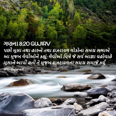 Picture 02 - ગણના 8:20 GUJIRV - પછી મૂસા તથા - Bible Verse Picture