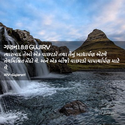 Picture 02 - ગણના 8:8 GUJIRV - ત્યારબાદ તેઓ એક - Bible Verse Picture