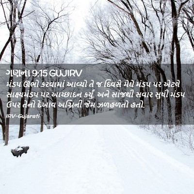 Picture 02 - ગણના 9:15 GUJIRV - મંડપ ઊભો કરવામાં - Bible Verse Picture