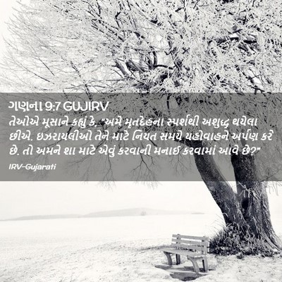 Picture 02 - ગણના 9:7 GUJIRV - તેઓએ મૂસાને - Bible Verse Picture