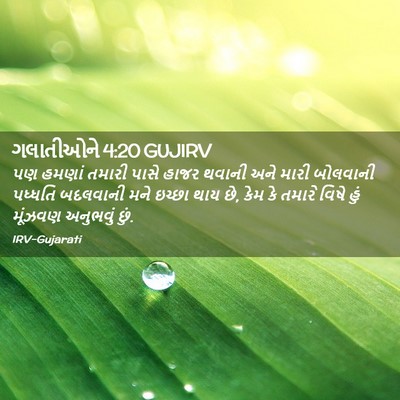 Picture 02 - ગલાતીઓને 4:20 GUJIRV - પણ હમણાં તમારી - Bible Verse Picture