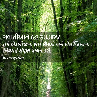 Picture 02 - ગલાતીઓને 6:2 GUJIRV - તમે એકબીજાના ભાર - Bible Verse Picture