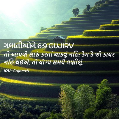 Picture 02 - ગલાતીઓને 6:9 GUJIRV - તો આપણે સારું - Bible Verse Picture